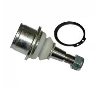 Perno braccio oscillante Assale anteriore bilaterale 93-28007 RTS per DODGE RAM