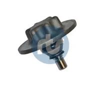 Perno braccio oscillante Assale anteriore bilaterale 93-90337 RTS per RENAULT