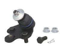 Perno braccio oscillante Assale anteriore bilaterale J12065YMT YAMATO per TOYOTA