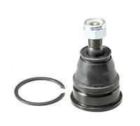 Perno braccio oscillante Assale anteriore CB0334 CTR per NISSAN RENAULT