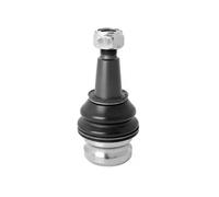 CORTECO 49395958 Giunto di supporto/guida STS_BJ VAG