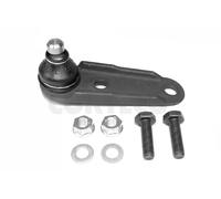 Perno braccio oscillante Assale anteriore Dx 49399477 CORTECO per RENAULT
