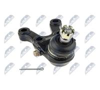 NTY Giunto di supporto / guida compatibile con ZSD-MS-009