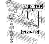 FEBEST 2120-TR Testina braccio oscillante