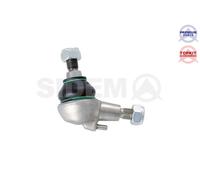 Perno braccio oscillante Assale anteriore inferiore 49082 SIDEM