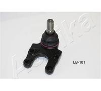 Ashika Ashika 53-01-101