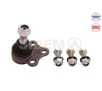 Perno braccio oscillante Assale anteriore inferiore 6281 SIDEM per RENAULT OPEL