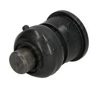 Perno braccio oscillante Assale anteriore inferiore 73-01-104 ASHIKA per RENAULT