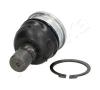 Perno braccio oscillante Assale anteriore inferiore 73-01-135 ASHIKA per NISSAN