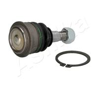 Perno braccio oscillante Assale anteriore inferiore 73-08-803 ASHIKA per SUZUKI