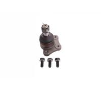 Perno braccio oscillante Assale anteriore inferiore 81181 SIDEM per KIA K2700
