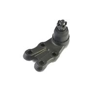 Perno braccio oscillante Assale anteriore inferiore J15013YMT YAMATO