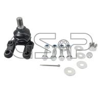 Perno braccio oscillante Assale anteriore inferiore S080067 GSP per NISSAN FORD