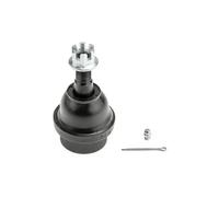 Perno braccio oscillante Assale anteriore inferiore ZSD-CH-011 NTY
