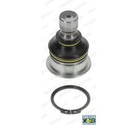 Perno braccio oscillante Assale anteriore NI-BJ-4954 MOOG per NISSAN RENAULT