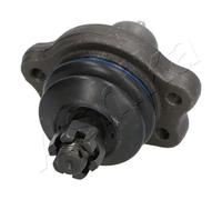 Ashika Ashika 73-01-139