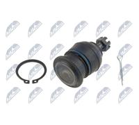 Perno braccio oscillante Assale anteriore superiore ZSG-HD-005 NTY per HONDA