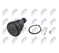 Perno braccio oscillante Assale anteriore superiore ZSG-NS-001 NTY per NISSAN