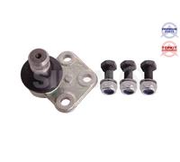 Perno braccio oscillante Assale anteriore Sx 5286 SIDEM per RENAULT