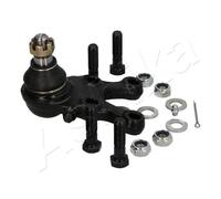 Perno braccio oscillante Assale anteriore Sx 73-05-523L ASHIKA per MITSUBISHI