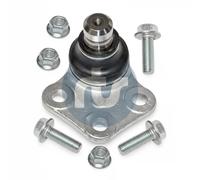 Perno braccio oscillante Assale anteriore Sx 93-90419-256 RTS per RENAULT