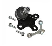 Perno braccio oscillante Assale anteriore Sx 93-90973-256 RTS per VW LUPO I