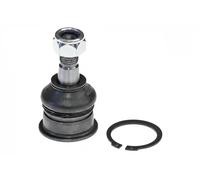 Perno braccio oscillante Assale anteriore Sx G3-087 OPTIMAL per NISSAN SUNNY II