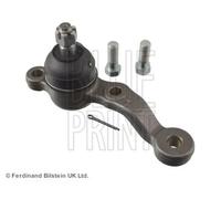 BLUE PRINT Testina braccio oscillante