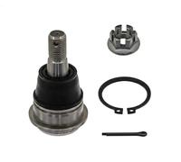 FEBI BILSTEIN Giunto sferico 42674 supporto/guida anteriore per Nissan Almera Tino, Primera P12