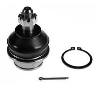 FEBI BILSTEIN 42626 Testina braccio oscillante Assale anteriore Sx Superiore Assale anteriore Dx