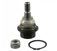 SWAG Testina braccio oscillante 50 92 1999 Perno anteriore sinistro per Ford Tourneo Connect/Custom