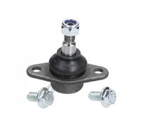 OPTIMAL Giunto Sferico Esterno Doppio Inferiore Anteriore Adatto Per MINI Mini