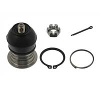Ferdinand Bilstein Testina braccio oscillante 42182 Assale anteriore Sx Superiore per HONDA ACCORD