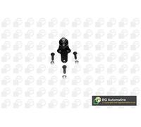 Perno braccio oscillante Assale anteriore Sx SJ2310 BGA per FORD FOCUS I