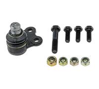 Perno braccio oscillante Assale anteriore Sx ZSD-RE-009 NTY per RENAULT