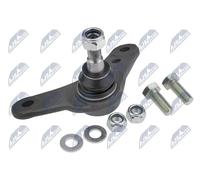 NTY ZSD-BM-004 Testina braccio oscillante