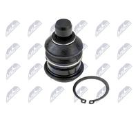 NTY ZSD-DW-059 Testina braccio oscillante