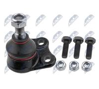 Perno braccio oscillante Assale anteriore ZSD-FT-001 NTY per FIAT STRADA Pick-up