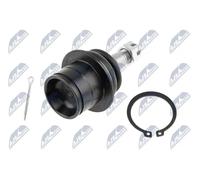 Snoto di sospensione anteriore inferiore per INFINITI | 0220-V35, ZSD-NS-038