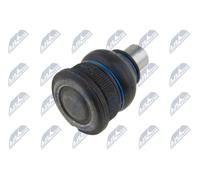 Perno braccio oscillante Assale anteriore ZSD-PE-003 NTY per CITROËN PEUGEOT