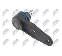 Perno braccio oscillante Assale anteriore ZSD-RE-002 NTY per RENAULT NISSAN