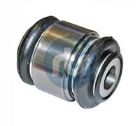 Perno braccio oscillante Assale post. bilaterale 93-00748 RTS per PEUGEOT 406