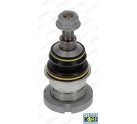 MOOG ME-BJ-0981 Testina braccio oscillante