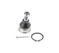 NTY ZSD-NS-025 Testina braccio oscillante