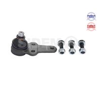 Perno braccio oscillante Esterno 3489 SIDEM per FORD MAZDA