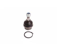 Perno braccio oscillante Esterno 41685 SIDEM per NISSAN NAVARA NP300