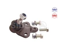 SPIDAN CHASSIS PARTS 45091 Testina braccio oscillante