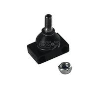 Perno braccio oscillante Esterno S080316 GSP per SMART CITY-COUPE CABRIO