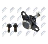 Perno braccio oscillante Esterno ZSD-VV-002 NTY per VOLVO V70 I V70 II S60 I