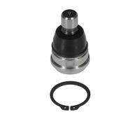 Moog Chassis Parts Articolazione di supporto FD-BJ-8090 per Ford Mazda anteriore dx